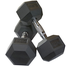 Sports and Fitness 12.5kg Hex Dumbbell 2 Pcs image
