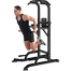Sports and Fitness AB Tower Dip Station Power Tower and Chin Up Home Use Exercise image