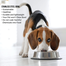 Stainless Steel Dog Food Bowl 30 cm image