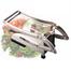 Stainless Steel French Fry Cutter, Potato Chipper Vegetable Slicer Chopper Silver image