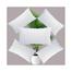 Agrey Hometex Standard Fiber Cushion, Tissue Fabric White 20x12 Inch Set of 5 image