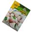 Strawberry Seeds- White Strawberry image