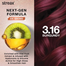 Streax Hair Colour Shine On 3.16 Burgundy 60 ml image