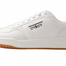 Striker Sport - Mens Life Styles - Genesis image