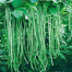 String Beans Seeds - 10Pcs image