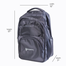 Stripelnc Exclusive And Premium Quality School Bag Black image