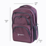 Stripelnc Exclusive And Premium Quality School Bag Meganta image