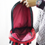 Stripelnc Mini Travel Backpack - Red image