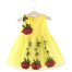 Summer Floral Dress for Baby Girl image