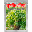 Sungondhi Deshi Dhonia Beej (Intack Pack) 0.25 gm image