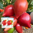 Super Sweet Mango Honey Tomato Seeds Foil Intact Pack 0.25gm image