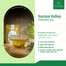 Surma Valley Premium Green Tea 250 gm image