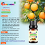 Sweet Orange Essential oil -10ml image