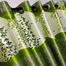 Synthetic Porda 42x84 inch 4 Kuchi 8 Eyelets Standard Size For Windows And Doors image