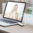 TP-Link TL-WN722N 150Mbps High Gain Wi-Fi USB Adapter image