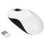 Targus W063 Wireless Blue Trace Mouse image