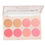 Technic Color Fix Blush Palette 8 Color - Fard a Joues image