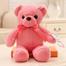 Teddy Bear - Pink (Free gift wrapping) image