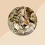 Tekchanda Shutki Fish / Dry Fish Premium Quality image