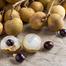 Thai Longan Fruit Seeds Intact Pack 0.25gm image