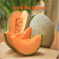 Thai Sammam Fruit Seeds 5Pcs Re-Pack image
