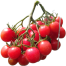 Thai Sweet Red Cherry Tomato 30 Plus Seeds All Season image