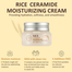 The Face Shop Rice Ceramide Moisture Cream 50ml | Korea image
