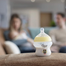 Tommee Tippee Anti Colic PP Feeding Bottle 150ml image