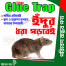Top Selling Strong Mouse Sticky Board Rat Glue Snare Trap Mice Catcher Safe Rat Bait - 1Pc image