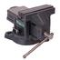 Total Bench Vice 6inch image