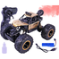 Toyshine 1:16 RC 4WD Rock Crawler Car with Spray Function image