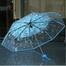 Transparent Flower Design Folding Fashion Umbrella Auto Open And Close image