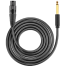 UGREEN 6.5mm to Cannon Female AV Cable 2m (Black) AV131 image