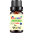 Vanilla Essential oil -10ml image