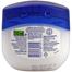 Vaseline Blueseal Aloe Fresh Light H.Jelly Jar 100 ml image