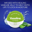 Vaseline Lip Therapy Aloe Vera - 20g image
