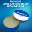 Vaseline Lip Therapy Jelly 20g image