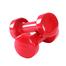 Vinyl Dumbbell 3 Kg 1 Pair - Red image