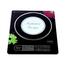 VISION 1204 Border Eco Induction Cooker image