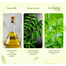 Vlcc Ayurveda Neem Face Wash (Soap Free) 100ml image