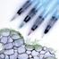 Water Brush Medium Fine Point-1 Pcs image