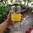 Water Glass Bottle - 500 ml image