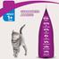 Whiskas Cat Food Hairball Control Chicken And Tuna Flavour - 450Gm image