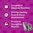 Whiskas Cat Food Junior Mackerel Flavor - 80gm image