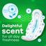 Whisper Ultra Clean Wings Sanitary Pads for Women, XL 8 Napkins image