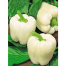 White Capsicum Seed image