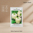 White Capsicum Seed image