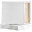 White Ptemium Canvas 12/12 image