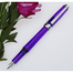 Wingsung 3013 Transparent Fountain Pen Vaccum Filling Fine Nib image