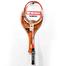 Wish Badminton Racket image